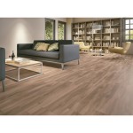 Porcelanato Esmaltado LM Arbol Canela AC 20x120 R 7mm