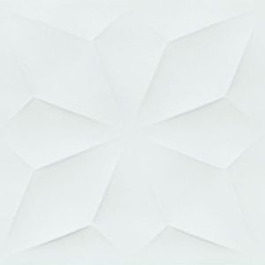 INS LUX SALVIA BR 30X90,2 R