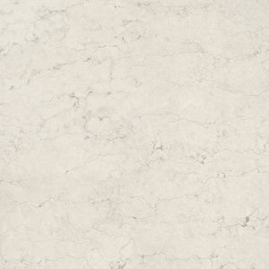 LM NEOLITHIC NT 120X120 R (1)