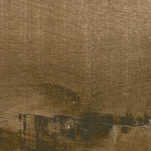 PP AMAZON AMBAR AC 20X90 (1)