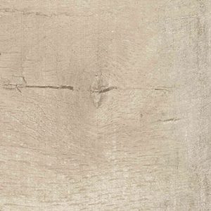 PP AMAZON CAMEL AC 20X90 (7)